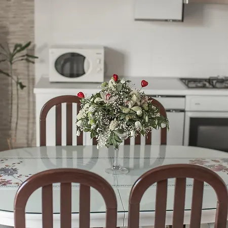 Apartment Zajc *