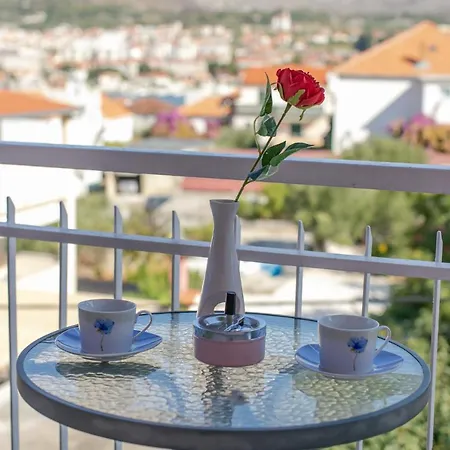 Zajc Trogir