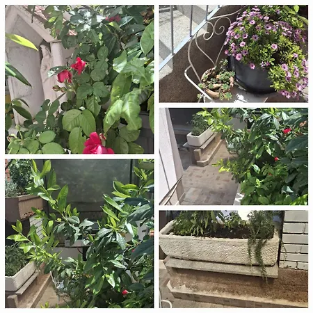 Zajc Appartement