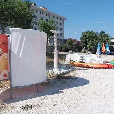 Zajc * Trogir
